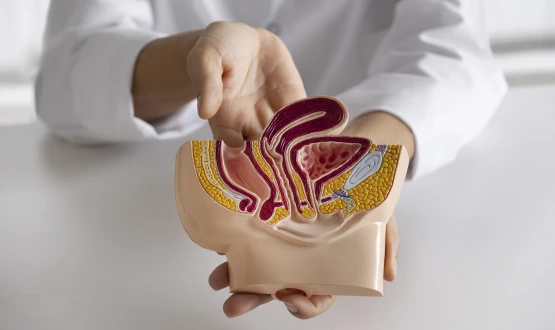Certificação em Cirurgia Robótica Urológica