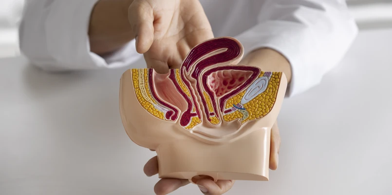 Certificação em Cirurgia Robótica Urológica